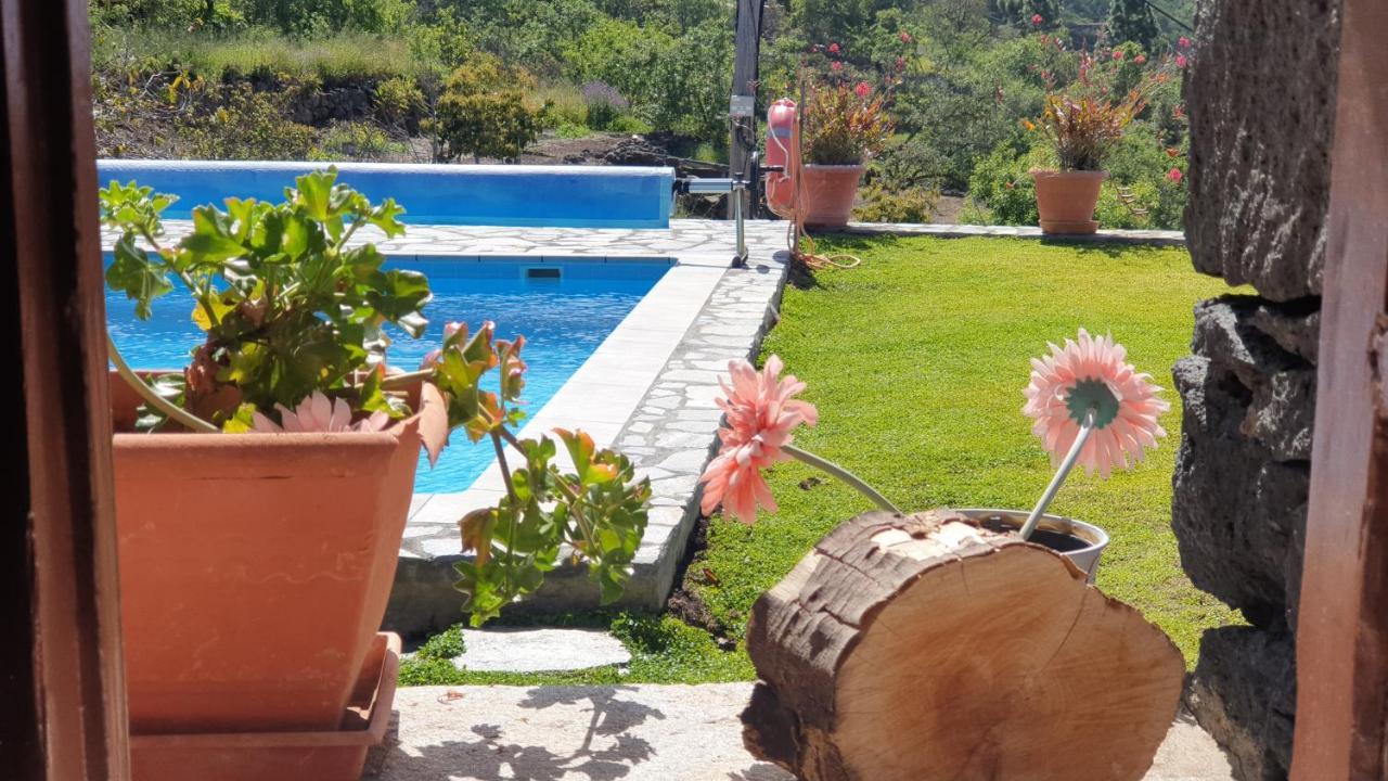 Climatized Pool Free Wifi Casa Rural Las Pareditas Тіхарафе Екстер'єр фото